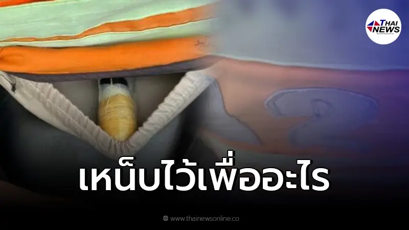 สาวเจอวินจยย.พก "แท่งปริศนา" ไว้เบาะรถ แห่สงสัยว่าคอือะไรกันแน่ สาวเจอวินจยย.พก "แท่งปริศนา" ไว้เบาะรถ แห่สงสัยว่าคอือะไรกันแน่