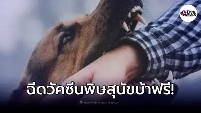เปิดวิธี"ฉีดวัคซีนพิษสุนัขบ้า"ฟรี เมื่อ โดนหมากัด แมวข่วน เปิดวิธี"ฉีดวัคซีนพิษสุนัขบ้า"ฟรี เมื่อ โดนหมากัด แมวข่วน