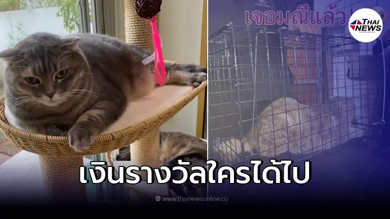 "เจ้าของน้องมณี" เผยแล้ว ใครจะเป็นผู้ได้รับเงินรางวัล 3 แสน "เจ้าของน้องมณี" เผยแล้ว ใครจะเป็นผู้ได้รับเงินรางวัล 3 แสน