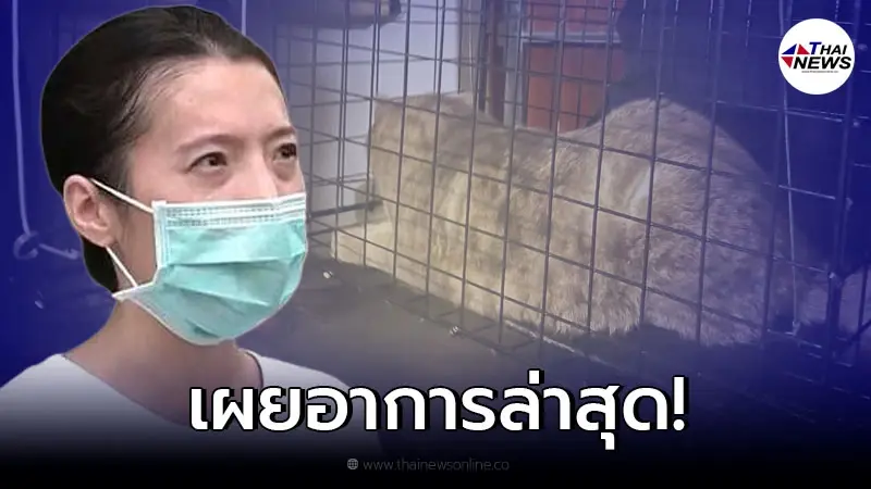 เจ้าของอัพเดทอาการ "น้องมณี" หลังจากพบตัวแล้ว เจ้าของอัพเดทอาการ "น้องมณี" หลังจากพบตัวแล้ว