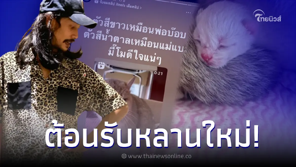 "เบิร์ด" เคลื่อนไหวเเล้ว หลังน้องแบมบี้แมวสุดรักของ "แตงโม" คลอดลูก "เบิร์ด" เคลื่อนไหวเเล้ว หลังน้องแบมบี้แมวสุดรักของ "แตงโม" คลอดลูก