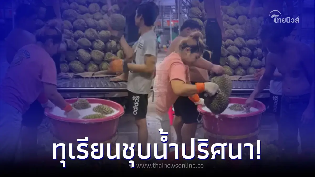 ลูกค้าข้องใจ พ่อค้านำทุเรียนชุบน้ำปริศนา ก่อนขนขึ้นรถ ทำผู้รู้แห่เมนต์