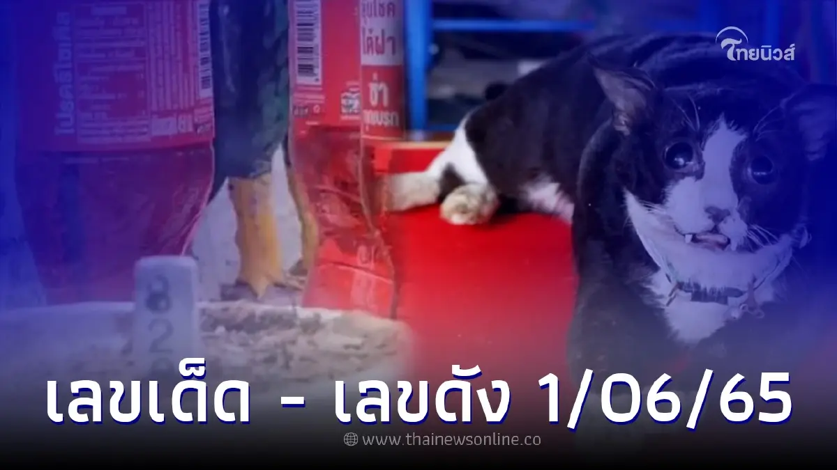 เลขเด็ด 1/06/65 หลักกิโลเฮี้ยน - ไอ้โทน แมวแม่ตะเคียน ได้เลขดังลุ้นลอตเตอรี่ เลขเด็ด 1/06/65 หลักกิโลเฮี้ยน - ไอ้โทน แมวแม่ตะเคียน ได้เลขดังลุ้นลอตเตอรี่