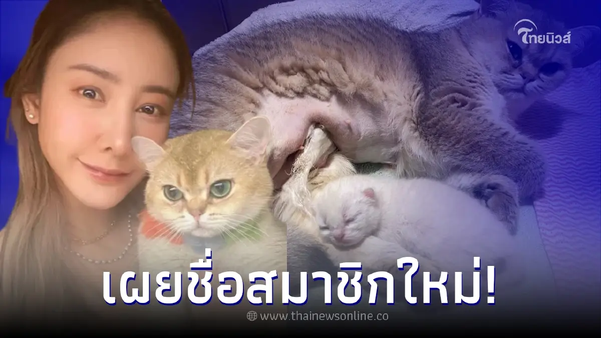 "เบิร์ด แฟนแตงโม" เผยชื่อสมาชิกใหม่ ลูกของ "แบมบี้" ลูกโทนตัวเดียวเลย "เบิร์ด แฟนแตงโม" เผยชื่อสมาชิกใหม่ ลูกของ "แบมบี้" ลูกโทนตัวเดียวเลย
