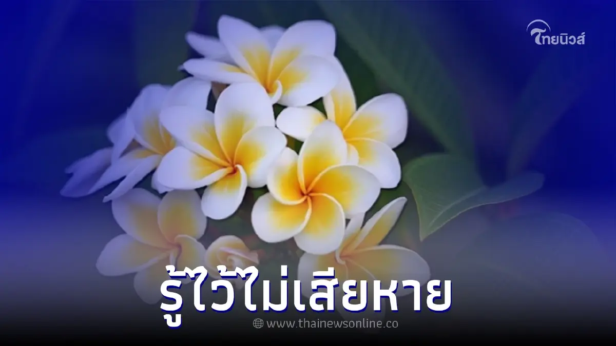 เปิด 5 ความเชื่อโบราณ ที่ควรรู้เกี่ยวกับบ้าน