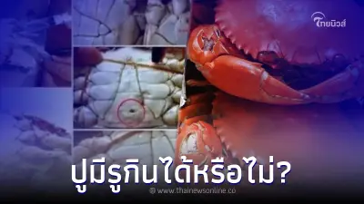 สธ. ชี้แจงแล้ว หลังว่อนข่าว "ปูที่มีรู" คือปูที่ฉีดสารฟอร์มาลีนเข้าไป สธ. ชี้แจงแล้ว หลังว่อนข่าว "ปูที่มีรู" คือปูที่ฉีดสารฟอร์มาลีนเข้าไป