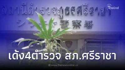 ผู้การชลบุรี สั่งเด้งเเล้ว 4 ตำรวจ สภ.ศรีราชา เซ่นปมจับกัญชาต้นเดียว ผู้การชลบุรี สั่งเด้งเเล้ว 4 ตำรวจ สภ.ศรีราชา เซ่นปมจับกัญชาต้นเดียว