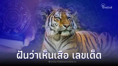 ฝันเห็นเสือ ฝันว่าเห็นเสือ แปลว่าดีจะมีโชคจริงหรือไม่ พร้อม เลขเด็ด ฝันเห็นเสือ ฝันว่าเห็นเสือ แปลว่าดีจะมีโชคจริงหรือไม่ พร้อม เลขเด็ด