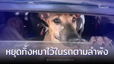 หยุดทิ้งหมาไว้ในรถตามลำพัง ผลเสียถึงขั้น เสียชีวิต