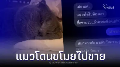 สาวใจสลาย โดนแฟนขโมยแมวสุดที่รักไปขาย ขอซื้อคืนโดนตอกกลับแรง