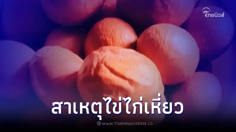 กรมปศุสัตว์ ชี้แจง สาเหตุเกิดไข่ไก่เหี่ยว หลังมีผู้บริโภคสงสัย กรมปศุสัตว์ ชี้แจง สาเหตุเกิดไข่ไก่เหี่ยว หลังมีผู้บริโภคสงสัย