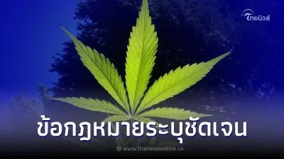 ปลดล็อคกัญชา ชาวบ้านต้องรู้ไว้ ใช่จะทำได้ตามอำเภอใจ ข้อกฎหมายระบุชัดเจน