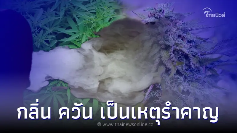 สธ. ประกาศ กลิ่น ควัน กัญชา กัญชง เป็นเหตุรำคาญ สธ. ประกาศ กลิ่น ควัน กัญชา กัญชง เป็นเหตุรำคาญ