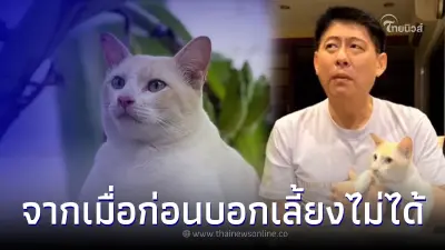 ทาสแมวเต็มตัว "สรยุทธ" ไม่กล้าป้อนยาแมวเอง กลัวแมวไม่รัก