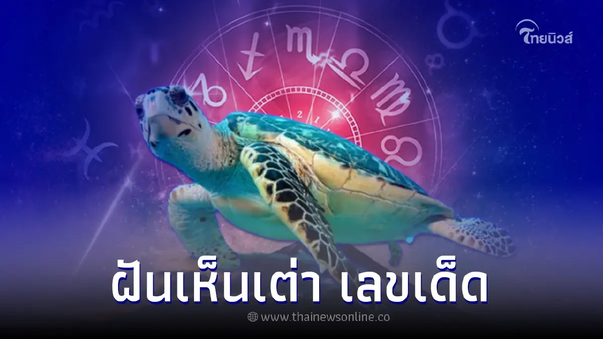 ฝันเห็นเต่า ฝันว่าเห็นเต่า บ่งบอกอะไร พร้อม เลขเด็ด ฝันเห็นเต่า ฝันว่าเห็นเต่า บ่งบอกอะไร พร้อม เลขเด็ด