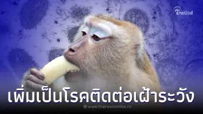คณะกรรมการโรคติดต่อแห่งชาติ เพิ่ม "โรคฝีดาษลิง" เป็นโรคติดต่อเฝ้าระวัง