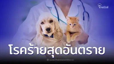 โรคร้ายสุดอันตรายที่ควรระวังสำหรับลูกหมาและลูกแมว