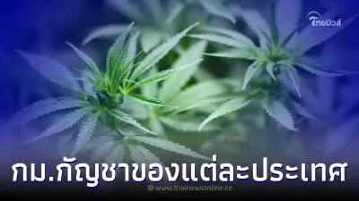 เปิดเส้นทางกัญชาเสรี สูบ - มีครอบครอง ที่ไหนในโลกนี้ได้บ้าง ที่ไม่ผิดกฎหมาย