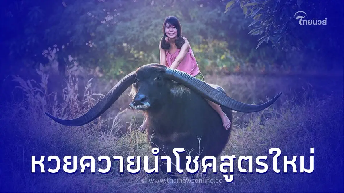 หวยงวด 1/7/65 เลขเด็ดงวดนี้ หวยควายนำโชคสูตรใหม่ 1 กรกฎาคม 2565 หวยงวด 1/7/65 เลขเด็ดงวดนี้ หวยควายนำโชคสูตรใหม่ 1 กรกฎาคม 2565