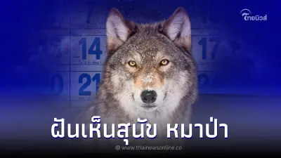 ฝันเห็นสุนัข หมาป่า ลางบอกเหตุให้ระวัง พร้อมแนวทางเลขเด็ด