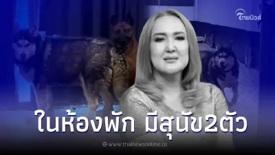 เผยภาพ "ริชชี่-มันนี่" สุนัขแสนรักของ "ซันนี่ ยูโฟร์" รอญาติมารับไปดูแลต่อ เผยภาพ "ริชชี่-มันนี่" สุนัขแสนรักของ "ซันนี่ ยูโฟร์" รอญาติมารับไปดูแลต่อ
