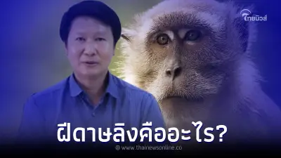 อ.เจษฎา เผยอาการของโรคฝีดาษลิง มีวิธีรักษาและป้องกันอย่างไร อ.เจษฎา เผยอาการของโรคฝีดาษลิง มีวิธีรักษาและป้องกันอย่างไร