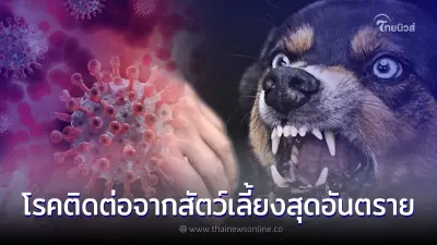 คนรักสัตว์ต้องรู้ โรคร้ายสุดอันตรายที่ติดต่อจากสัตว์เลี้ยงสู่คน คนรักสัตว์ต้องรู้ โรคร้ายสุดอันตรายที่ติดต่อจากสัตว์เลี้ยงสู่คน