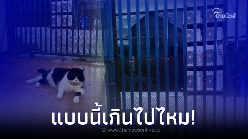 สาวกลุ้มใจ เพื่อนบ้านติดคอมฯแอร์ 8 ตัว หันลมร้อนใส่ สงสารแมวแทบทนไม่ไหว สาวกลุ้มใจ เพื่อนบ้านติดคอมฯแอร์ 8 ตัว หันลมร้อนใส่ สงสารแมวแทบทนไม่ไหว