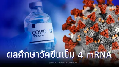 เทียบผลการศึกษา วัคซีน mRNA เข็ม 4 ในผู้สูงอายุ กันอาการหนักกี่เปอร์เซ็นต์ เทียบผลการศึกษา วัคซีน mRNA เข็ม 4 ในผู้สูงอายุ กันอาการหนักกี่เปอร์เซ็นต์