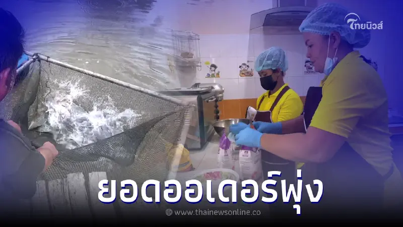 ผุดไอเดีย แปรรูปปลานิลเป็น "นิลลี่พาย" ยอดสั่งถล่มทลาย กลายเป็นสินค้าขายดี ผุดไอเดีย แปรรูปปลานิลเป็น "นิลลี่พาย" ยอดสั่งถล่มทลาย กลายเป็นสินค้าขายดี
