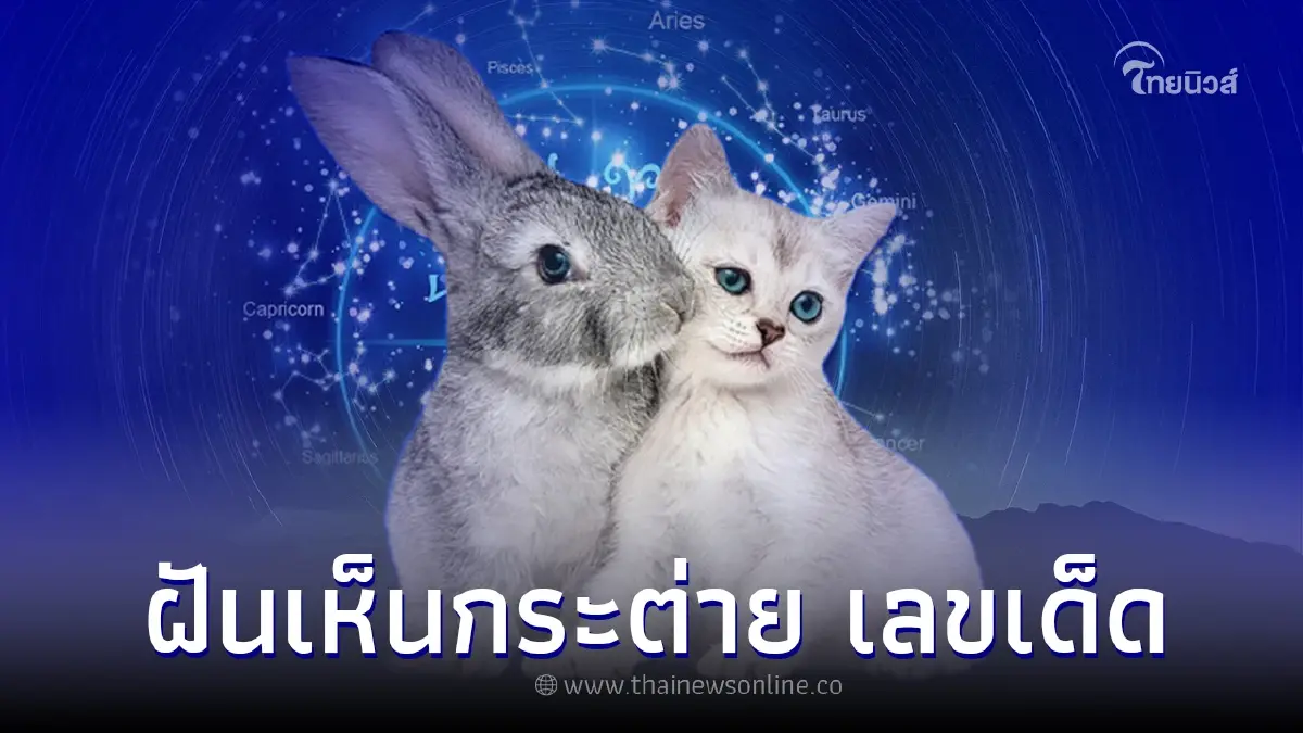 ฝันเห็นกระต่าย ฝันว่าเห็นกระต่าย จะมีโชคจริงหรือไม่ พร้อม เลขเด็ด