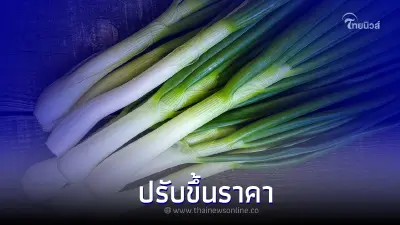 เช็กเลย!​​​​​​​ ปรับราคา "ต้นหอม" รวมไปถึงผักทุกชนิดแพงขึ้นอย่างไม่หยุด