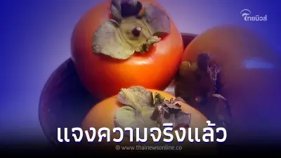 ชี้แจงแล้ว กินลูกพลับตามด้วย นมเปรี้ยว กล้วยหอม เป็นพิษต่อร่างกาย จริงหรือ
