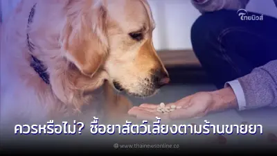 ซื้อยาสัตว์เลี้ยงตามร้านขายยาทั่วไป จะเป็นอันตราย จริงหรือไม่ มีคำตอบ