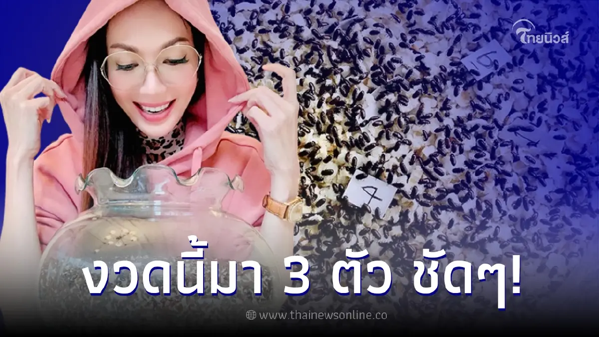 "อ๋อม สกาวใจ" อวดเลขกระดิ่งเงิน กระดิ่งทอง เลขเด็ด งวด 1 ส.ค. 65 "อ๋อม สกาวใจ" อวดเลขกระดิ่งเงิน กระดิ่งทอง เลขเด็ด งวด 1 ส.ค. 65