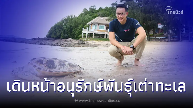 "เมืองไทยประกันชีวิต" เดินหน้าอนุรักษ์สิ่งแวดล้อมยั่งยืน หนุนกิจกรรม อนุรักษ์พันธุ์เต่าทะเล "เมืองไทยประกันชีวิต" เดินหน้าอนุรักษ์สิ่งแวดล้อมยั่งยืน หนุนกิจกรรม อนุรักษ์พันธุ์เต่าทะเล