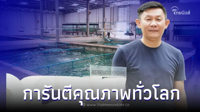 ฟาร์มเพาะพันธุ์ปลาสวยงาม “ดรากอนเรย์ควาติค” เพาะกระเบนแบล็กไดมอนด์ส่งออก