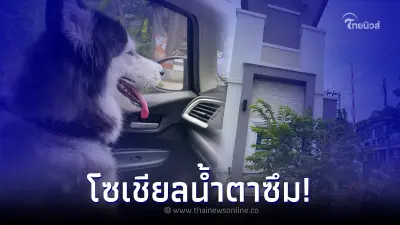 หนุ่มสุดงง จอดรถลงไปทิ้งขยะเจอหมาโผล่นั่งในรถ สุดท้ายน้ำตาซึมทั้งโซเชียล