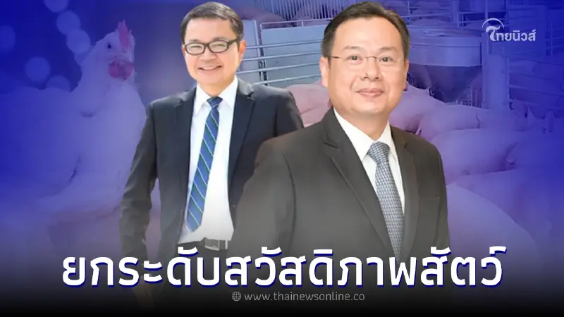 ซีพีเอฟ ยกระดับสวัสดิภาพสัตว์ เลี้ยงหมู ไก่ สร้างภูมิภายใน ไม่ใช้ยาปฏิชีวนะ ซีพีเอฟ ยกระดับสวัสดิภาพสัตว์ เลี้ยงหมู ไก่ สร้างภูมิภายใน ไม่ใช้ยาปฏิชีวนะ