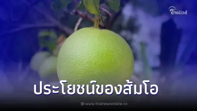 ประโยชน์ของส้มโอ ผลไม้ที่มีสรรพคุณมากมายหลายประการ