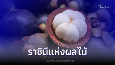 ประโยชน์ของ "มังคุด" ราชินีแห่งผลไม้!