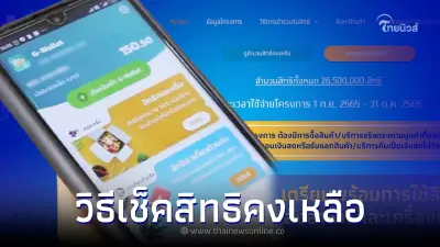ลง "คนละครึ่งเฟส 5" วันแรก วิธีเช็คสิทธิคงเหลือ ระวังพลาดโอกาสเข้าร่วม
