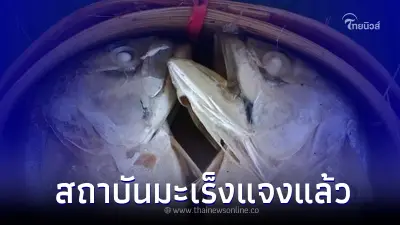 สารกันบูดในปลาทูนึ่ง ทำให้เป็นมะเร็งที่มือ ล่าสุด สถาบันมะเร็ง ชี้แจงแล้ว