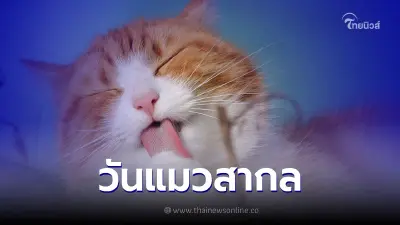 8 สิงหาคม วันแมวสากล (International Cat Day)