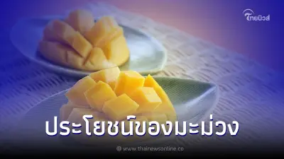 ประโยชน์ของมะม่วง ผลไม้มากคุณค่าที่กินได้ทั้งสุกและดิบ