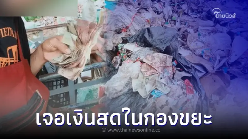 หนุ่มเก็บขยะดวงดี เจอเงินสดในกองขยะ โพสต์ถามชาวเน็ต ทำยังไงดี หนุ่มเก็บขยะดวงดี เจอเงินสดในกองขยะ โพสต์ถามชาวเน็ต ทำยังไงดี