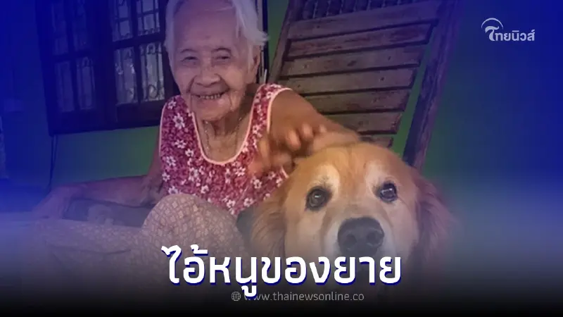 แฟนคลับเศร้าน้ำตานอง! "เจ้าลีโอ ไอ้หนูของยาย" จากไปอย่างสงบ ด้วย โรคมะเร็ง แฟนคลับเศร้าน้ำตานอง! "เจ้าลีโอ ไอ้หนูของยาย" จากไปอย่างสงบ ด้วย โรคมะเร็ง