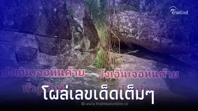 ฮือฮา ชาวบ้านเก็บเห็ด พบหินประหลาดคล้าย "หัวงูยักษ์" โผล่เลขเด็ดเต็มๆ