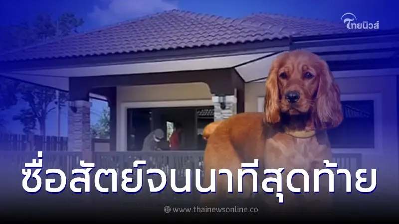 ซื่อสัตย์จนนาทีสุดท้าย เจ้าลิสต์ซี่ เฝ้าร่างเจ้าของที่เสียชีวิตกว่า 3 วัน