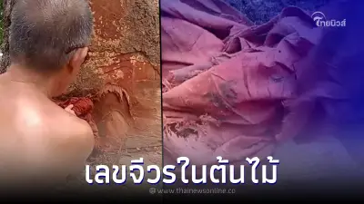 โค้งสุดท้าย "พระตัดต้นไม้" เจอจีวรเขียนเลขกลางลำต้น แนวทางเด็ด 16 ส.ค. 65 โค้งสุดท้าย "พระตัดต้นไม้" เจอจีวรเขียนเลขกลางลำต้น แนวทางเด็ด 16 ส.ค. 65
